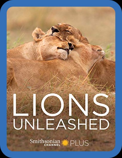 Lions Unleashed 2017 1080p AMZN WEBRip DDP2 0 x264-SCOPE