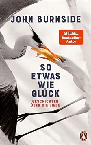 Burnside, John  -  So etwas wie Gl&uuml;ck: Geschichten &uuml;ber die Liebe