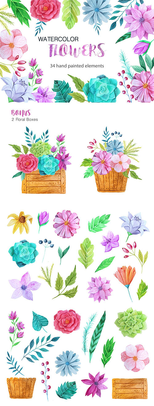 Watercolor flower pack design elements