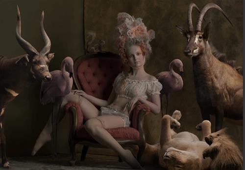 The Portrait Masters – Marie Antoinette & The Animals