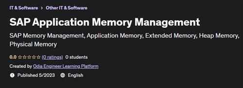 SAP Application Memory Management |  Download Free