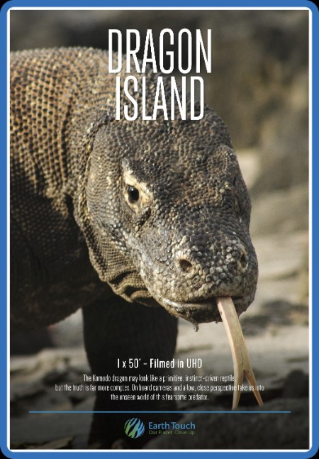 Dragon Island 2016 1080p WEBRip x264-RARBG