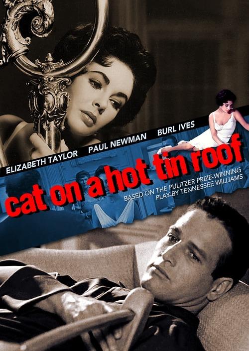 Kotka na gorącym, blaszanym dachu / Cat on a Hot Tin Roof (1958) MULTi.1080p.BluRay.REMUX.AVC.DTS-HD.MA.2.0-MR | Lektor i Napisy PL