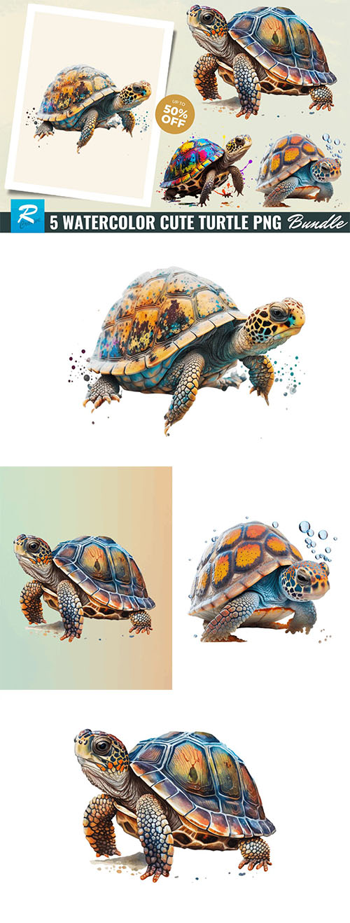 5 Watercolor Cute Turtle