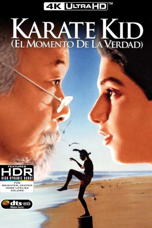 Karate Kid / The Karate Kid (1984) MULTi.REMUX.2160p.UHD.Blu-ray.HDR.HEVC.ATMOS7.1-DENDA ~ Lektor i Napisy PL