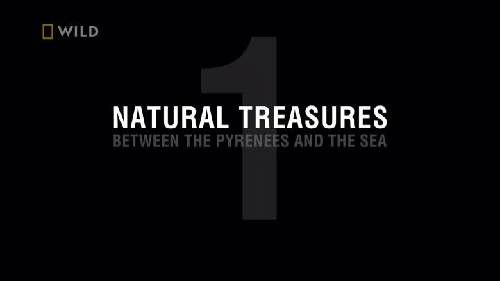 Skarby przyrody / Natural Treasures (2022) [SEZON 1] PL.1080i.HDTV.H264-B89 | POLSKI LEKTOR