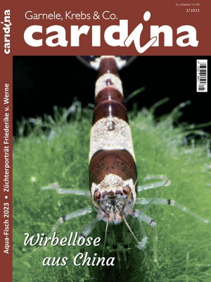 Caridina - Nr.2 2023