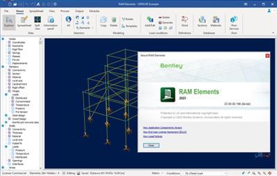 RAM Elements CONNECT Edition 2023 (23.00.00.196) Win x64