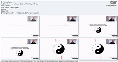Complete Five Element Chinese Medicine Course - PART 3  WOOD 0db8701995187d376c0d0eaf3c1b6100