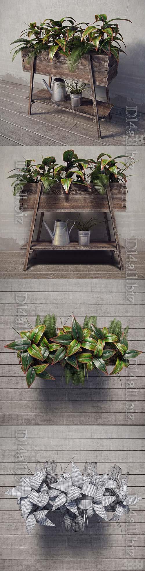 Terrace Plants - 3d model