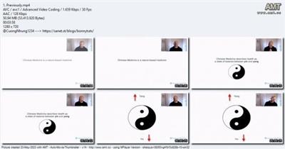 Complete Five Element Chinese Medicine Course - PART 5  EARTH 9ce303ad1e0d79d6f584d9bbbb397e22