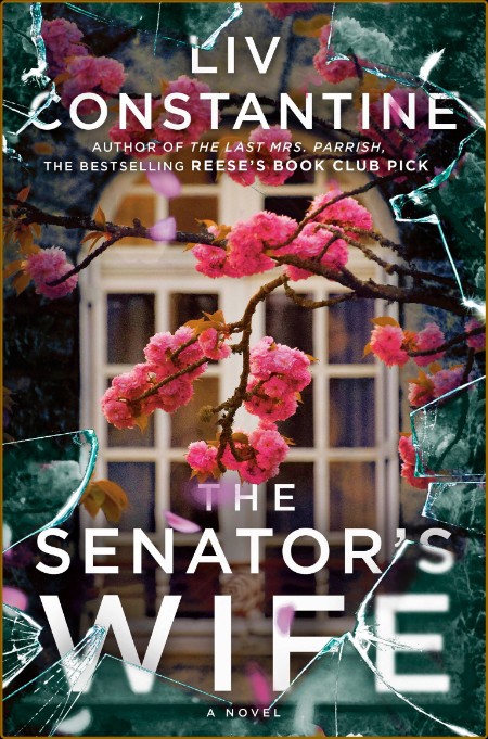 The Senator's Wife: A Novel Bdf357aa29d9a9db18ac06521db8c16b