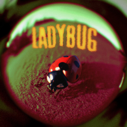 Jutes - Ladybug (2023) Lossless