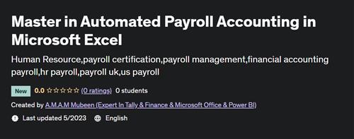 Master in Automated Payroll Accounting in Microsoft Excel