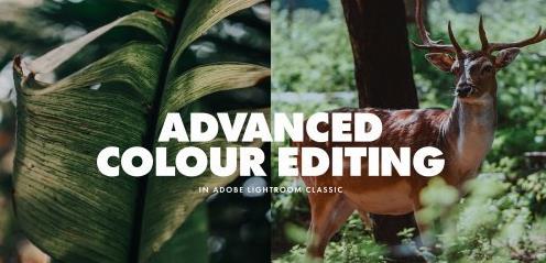 Adobe Lightroom Classic Advanced Workflow & Tips for Enhancing Your Color Edits |  Download Free
