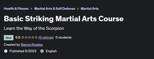 Basic Striking Martial Arts Course |  Download Free