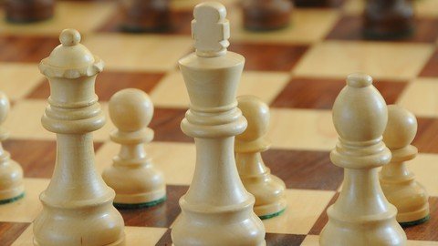 The Complete Guide To Chess Principles