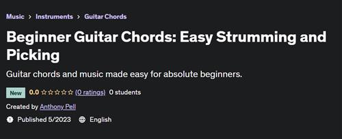 Beginner Guitar Chords Easy Strumming and Picking