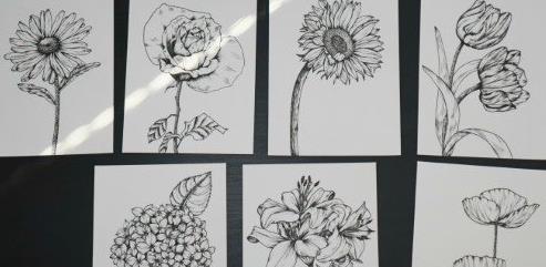 10 – step Line Drawing Learn to Draw Any Flower in 7 Days