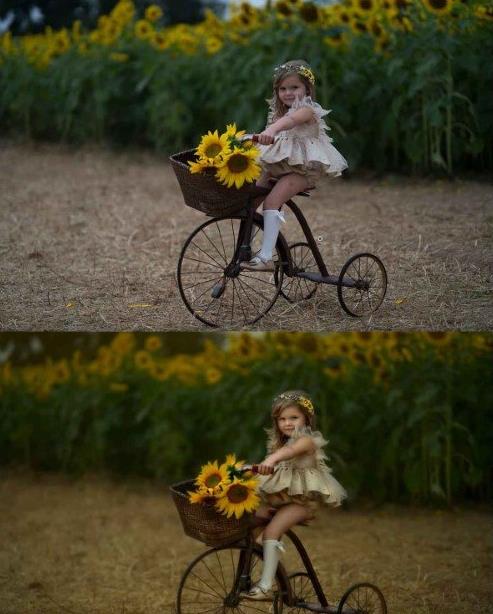 Djeirana Photography – Sunflower Edit |  Download Free