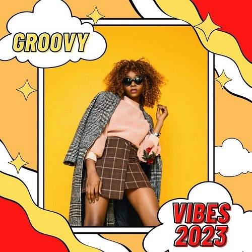 VA - Groovy Vibes (2023) MP3
