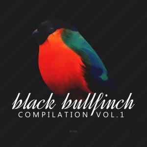 Black Bullfinch Compilation Vol 1 (2023)