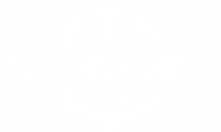 Solar Fake - Discography (2008-2022)
