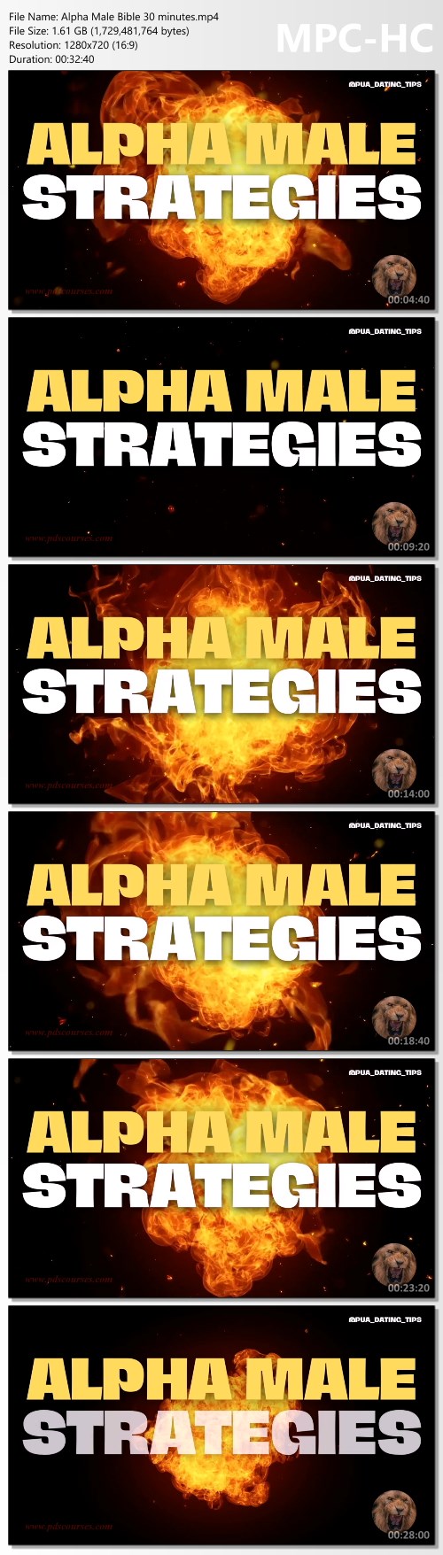 Amplify Your Dating and Sex Life by 1000% – Alpha Male Strategies