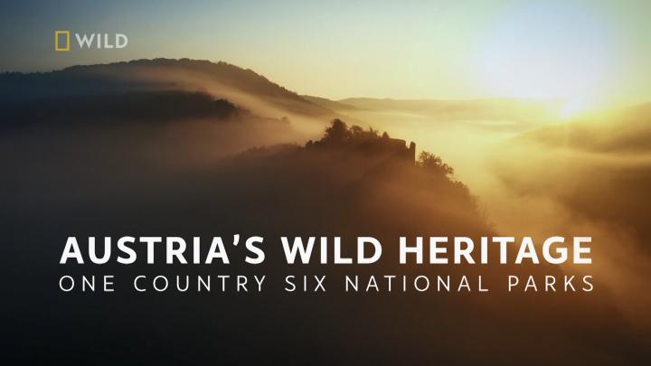 Parki narodowe w Austrii / Austria's Wild Heritage - One Country Six National Parks (2021) PL.1080i.HDTV.H264-B89 | POLSKI LEKTOR