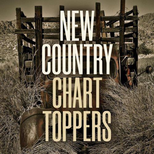 New Country Chart Toppers (2023) FLAC