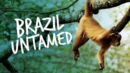 Brazil Untamed S01E10 2160p WEB H265-BUSSY