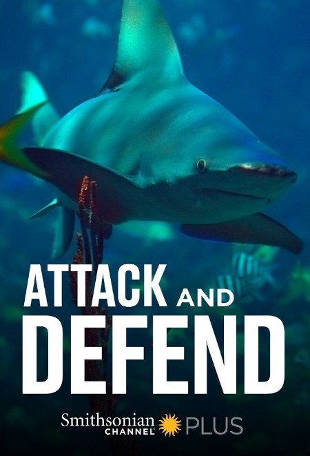 Attack and Defend S01E01 2160p WEB H265-BUSSY