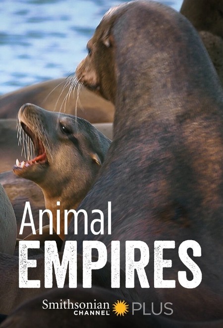 Animal Empires S01E06 2160p WEB H265-BUSSY
