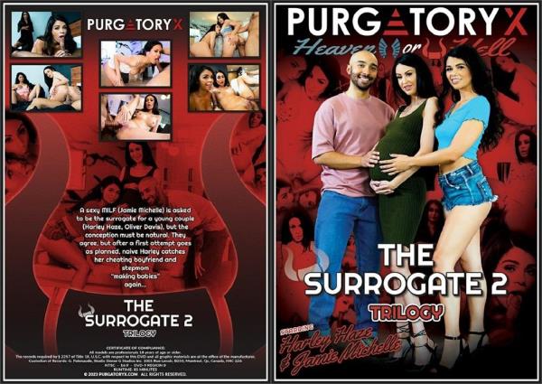 The Surrogate 2 - 720p