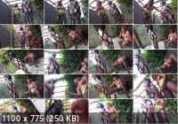 Mistress-Carly/FemmeFataleFilms/OnlyFans - Mistress Carly - Caged Outdoor Slave (HD/720p/102 MB)