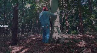 Аврора 663 (2022)