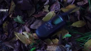 Аврора 663 (2022)