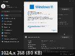 Windows 11 Pro x64 Lite 22H2.25262.1000 by Zosma (RUS/2022)