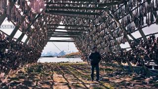 Странствия Басмана (2020)