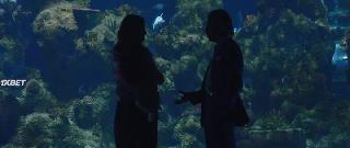 Невеста в красном (2022)