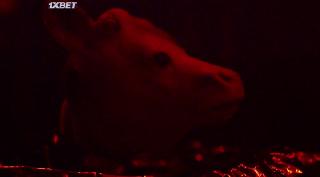 Калиовас (2022)