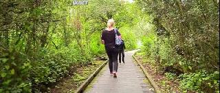 Корона Клоун (2021)