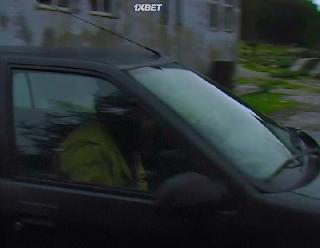 Магнитные поля (2021)