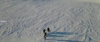 Заморозка (2022)