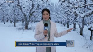 Облачно, возможны осадки в виде Рождества (2022)