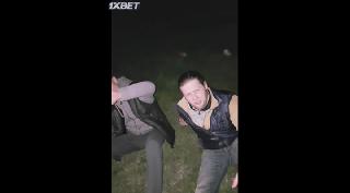 Животные (2021)