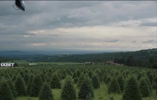 Дыра в заборе (2021)