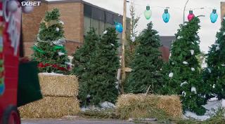 Проишествие с печеньем на Рождество (2022)