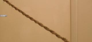 Стой на месте (2020)