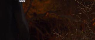 Бореаль (2022)